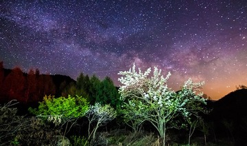 _MG_3660.jpg