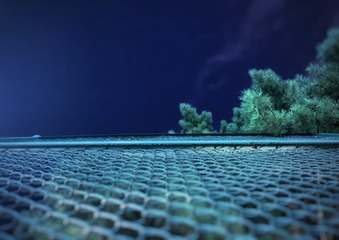 001