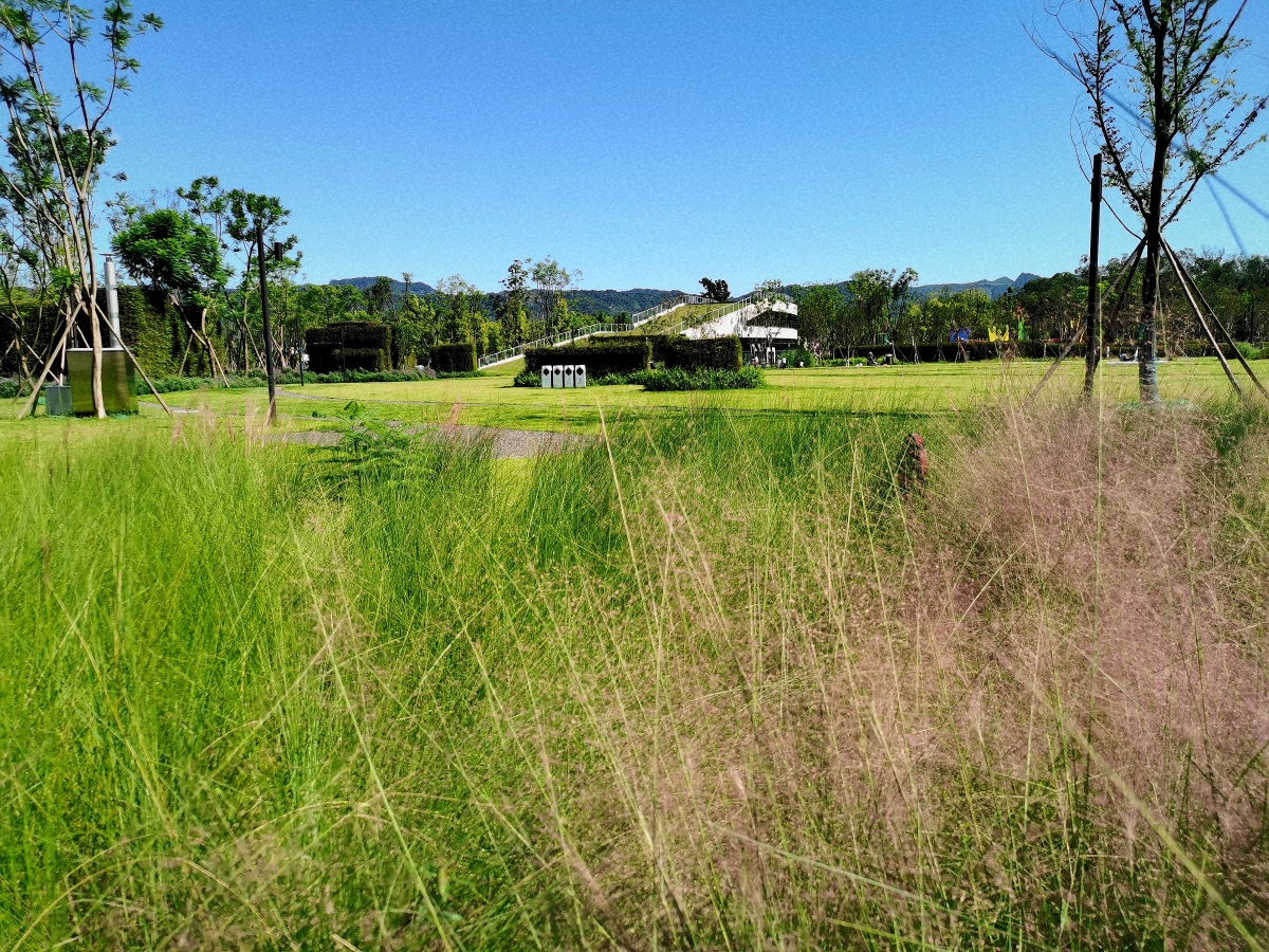 成都龙泉驿东风渠绿道公园