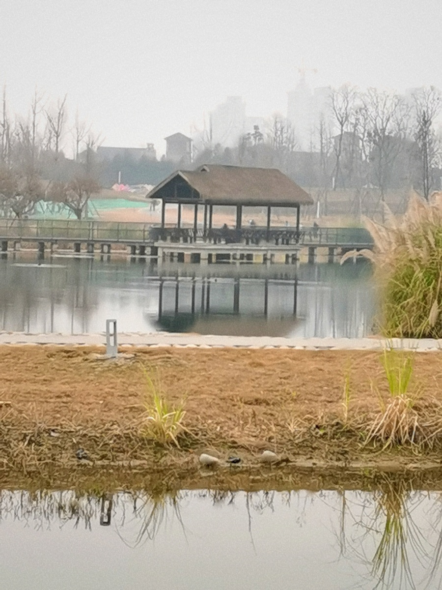 成都三圣乡江家艺苑随拍