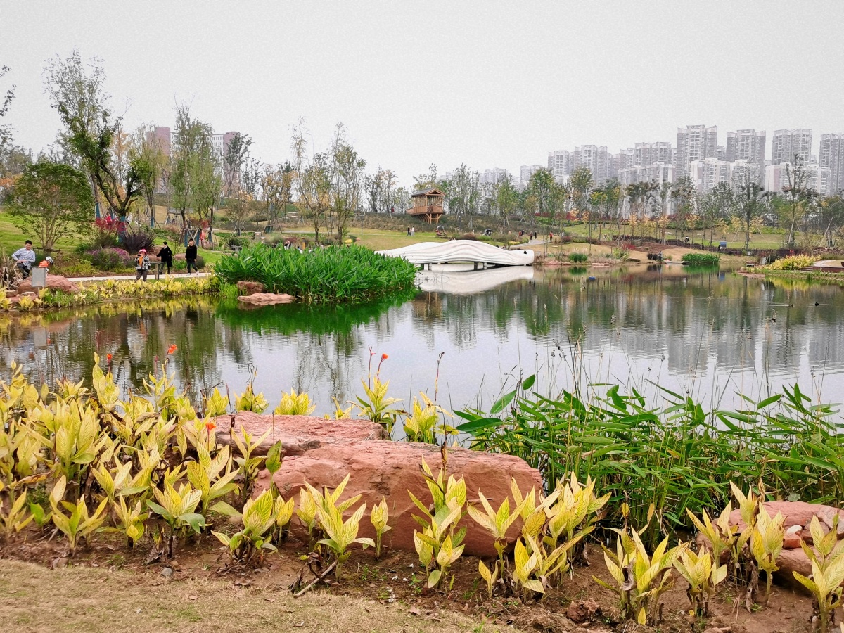 成都龙泉驿驿马河公园3d打印桥