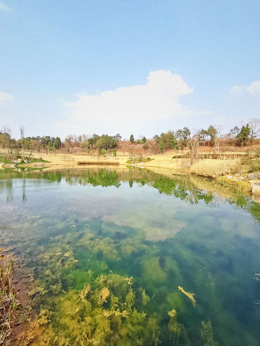 成都金堂杨溪谷湿地公园