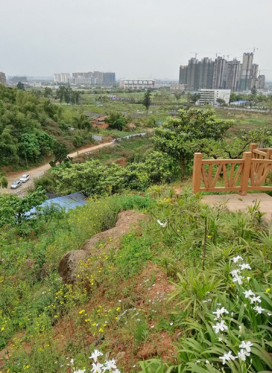 成都龙泉阳光城
