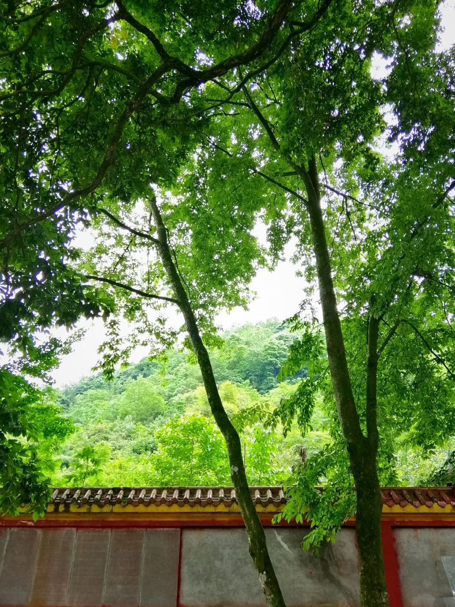 成都大邑雾山一接王寺