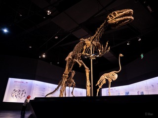 603987