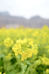 80221122-DD77-4702-AE80-A961B8D928A7/L0/001