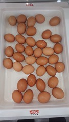 307774