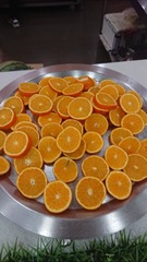 307794