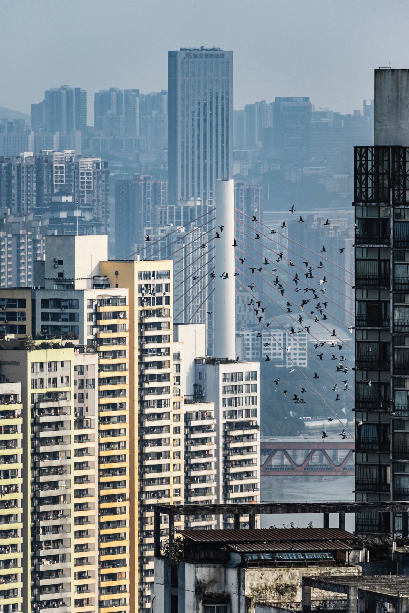 重庆的密集建筑