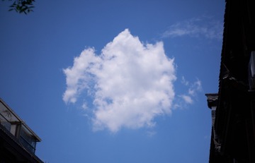 D9D00FAA-49C5-4621-BC39-7481A1A131C1/L0/001