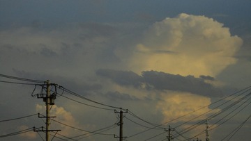 7961B893-6131-4A0B-9451-DA95C2E787FD/L0/001