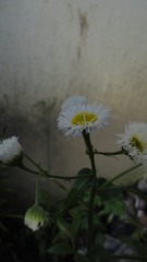 EC9E82EE-6F9A-4E7A-9FE3-D71F6A473CE9/L0/001