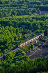 47006