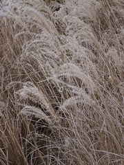 D2238C4F-EB35-45C1-BA4D-884B1519BF60/L0/001