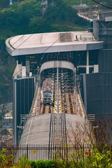 306547