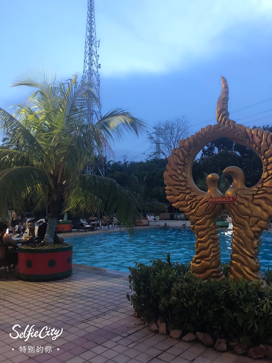 龙熙维景温泉票