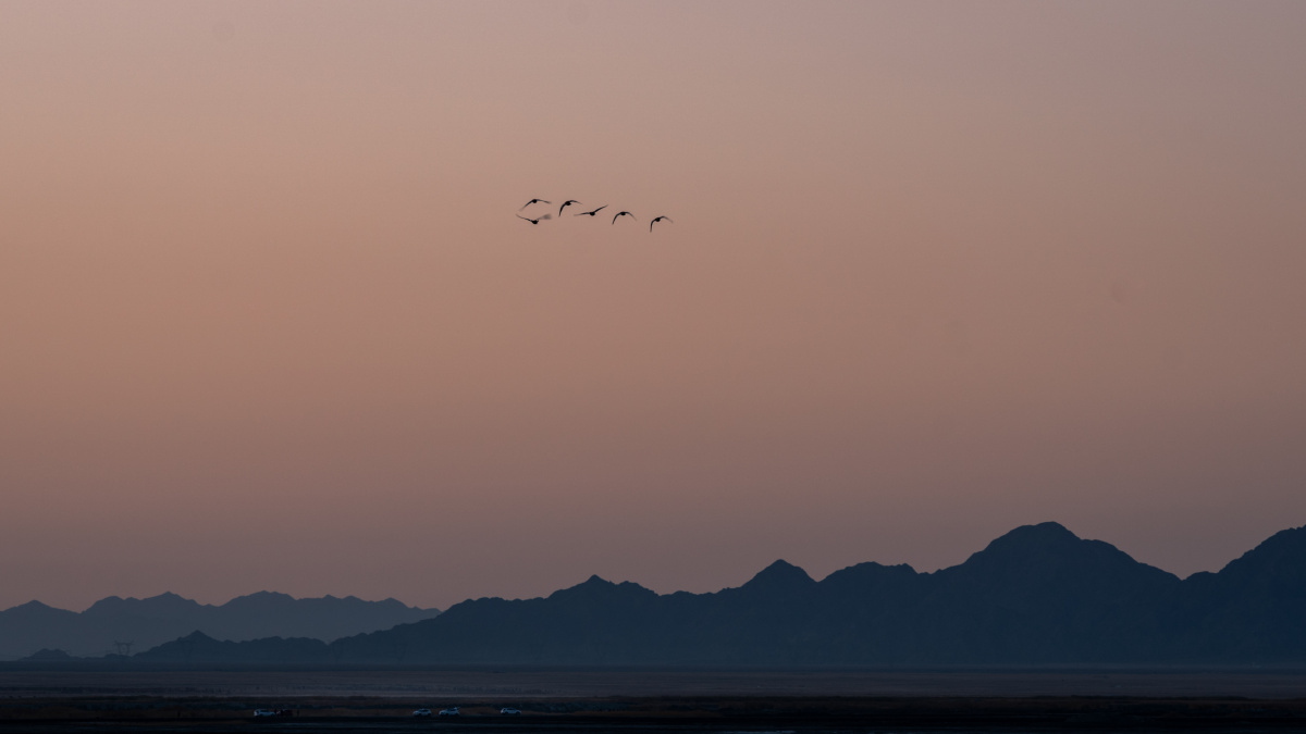 落霞与孤鹜齐飞