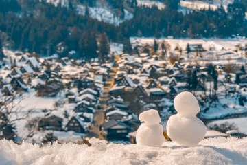 IMG_8495-4