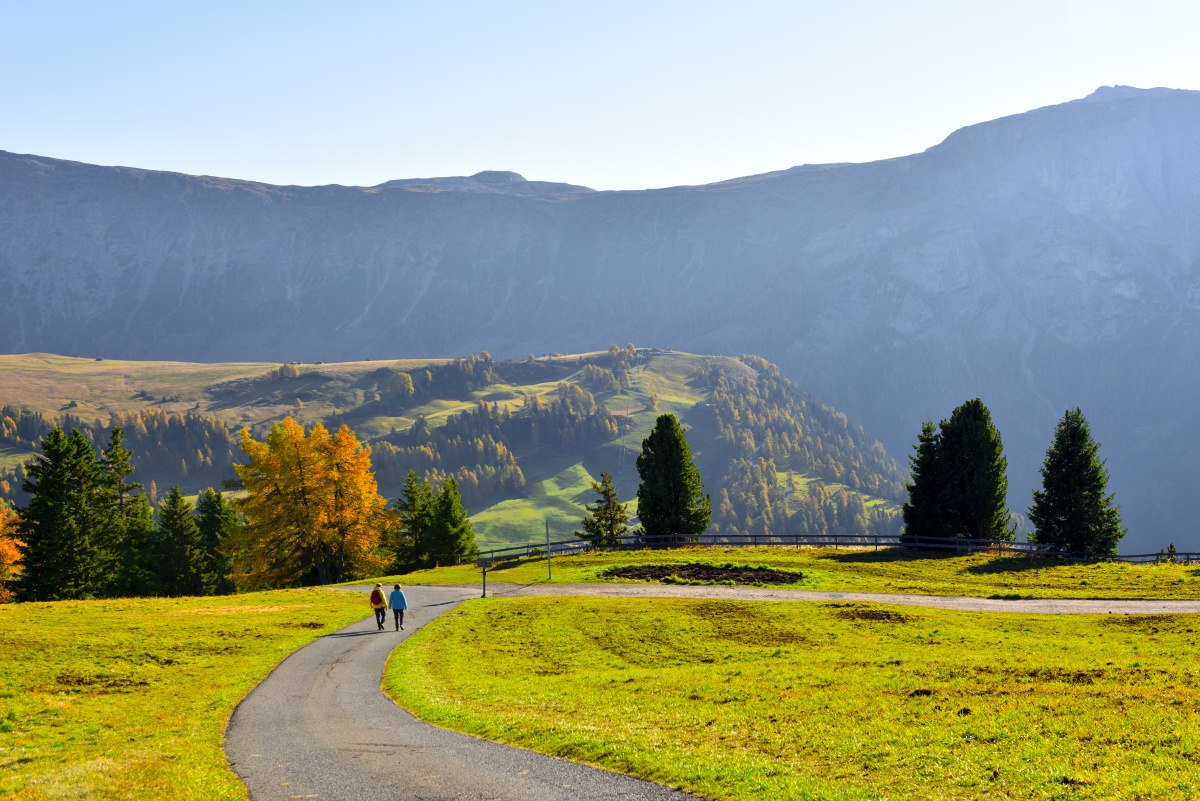 摄于意大利阿尔卑斯山脉多洛米蒂休斯 siusi高原草甸