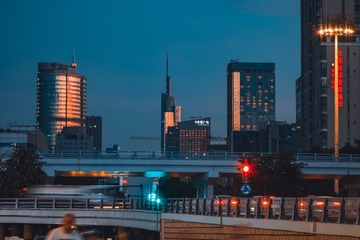 19556