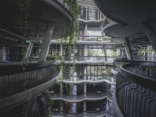 1615242