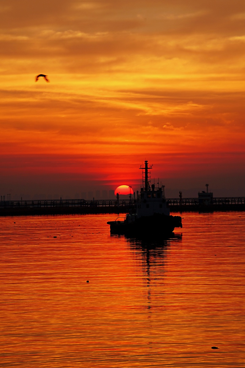 日出东方霞光万丈火烧云把滨城烧得红红火火醉了