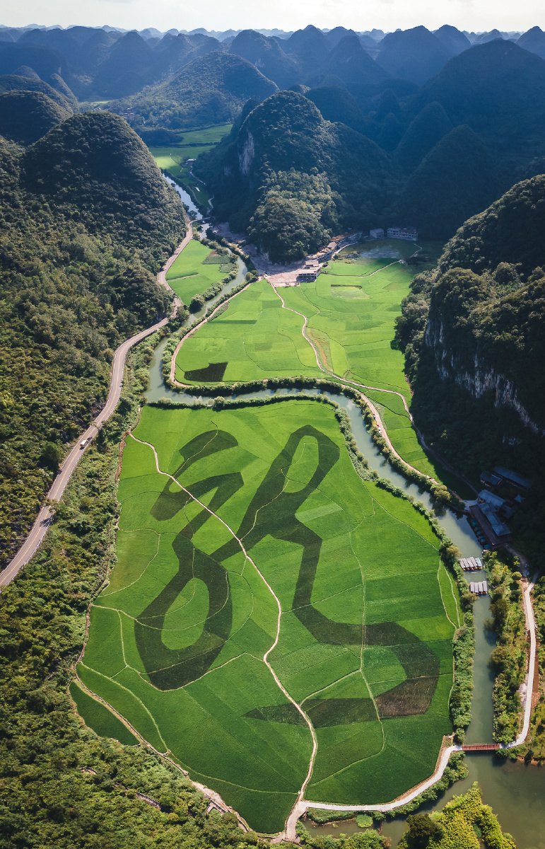 贵州安顺龙宫龙字田世界上最大的单体汉字