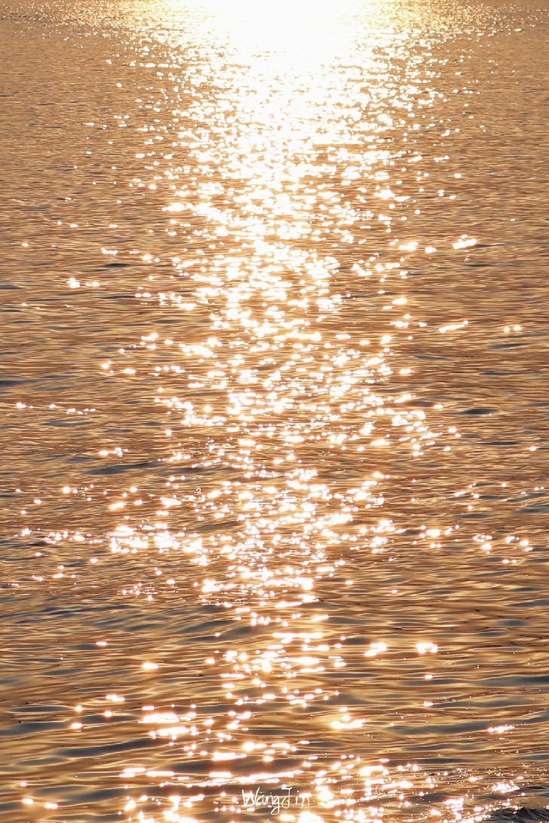 波光粼粼的水面谁不爱呢