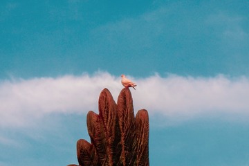 001