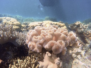 F2746C7E-36C7-4EA8-8128-0FDD24B66D0D/L0/001