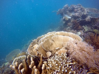 1C735511-A88D-406D-AAD4-1A6A582491D3/L0/001
