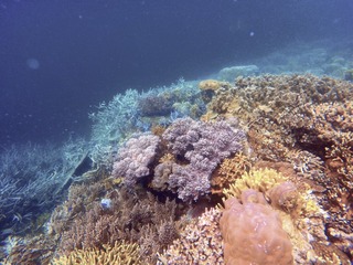 1E0C12E3-B489-4F4B-94F3-122E1E16B402/L0/001