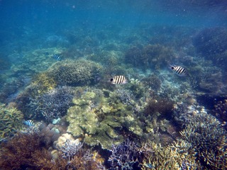 54B8E9CA-07D8-4841-A9E9-A5B703A1CCA7/L0/001