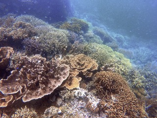 8A7AE00F-E42F-4074-9BD5-EB298E0303D8/L0/001