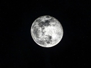 278976