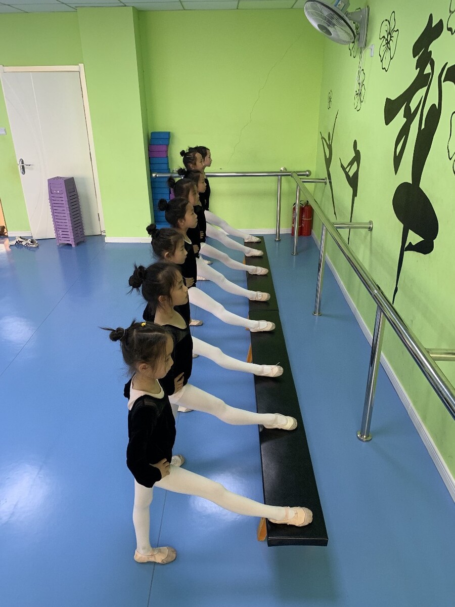 舞翼舞蹈培训中心