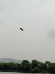 DSC00302_