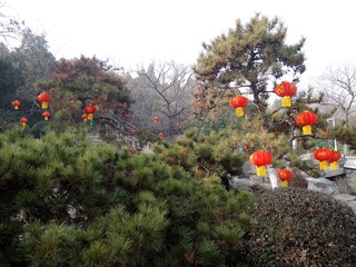 2020.1.20云龙山灯笼 023