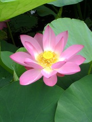 DSC00117_