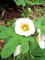 037