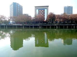 2020.11.10儿子媳妇送诶老妈生日的花篮 122