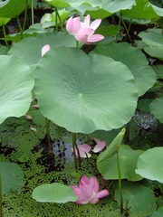 DSC00126_
