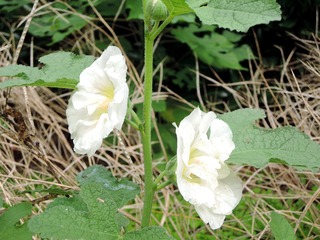 034