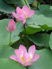 DSC00124__