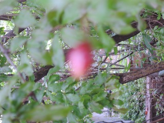 058