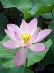 DSC00065_