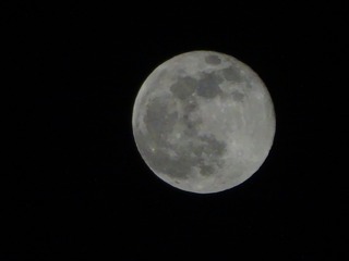 75B32096-8792-4E54-BB61-FDAD83F92A2E/L0/001