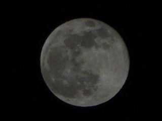 A35FAE98-C9B7-462D-8511-F995489B27EA/L0/001