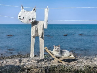 IMG_20230831_144032