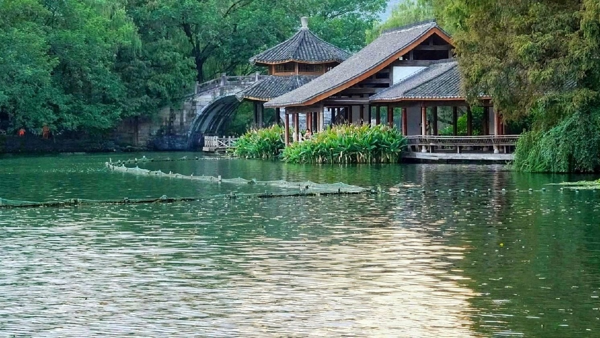 西湖茅家埠水域